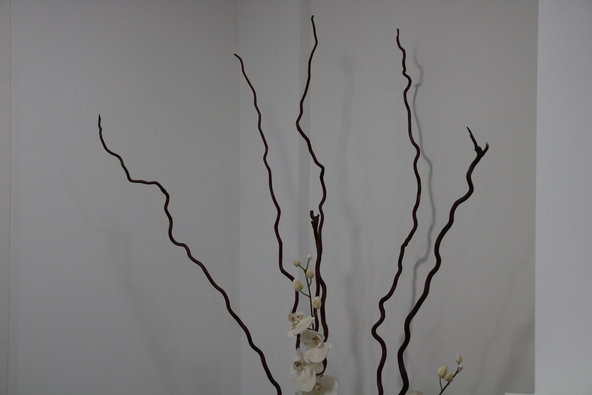 Instalaciones PerioMax 5